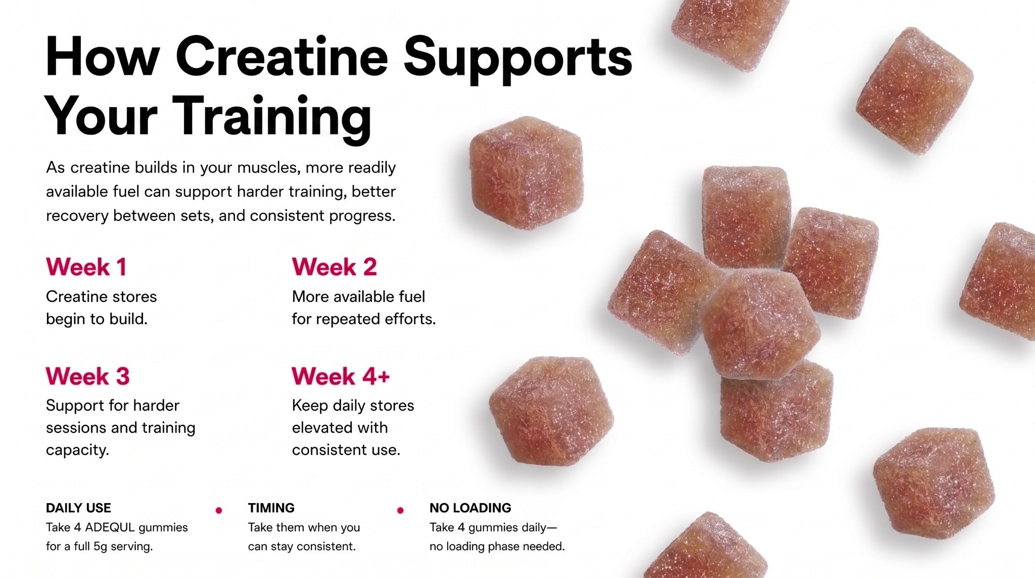 How creatine supports your training over four weeks
